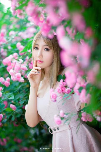 隐锋电视剧免费观看全集高清